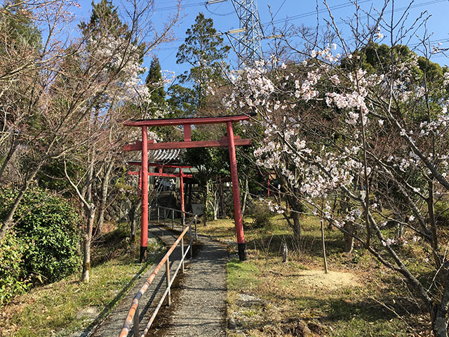 03