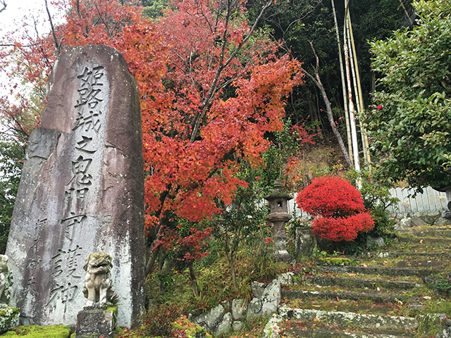 歳徳神社紅葉風景