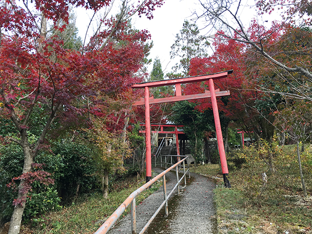 歳徳神社紅葉風景