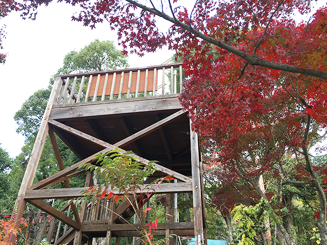 歳徳神社紅葉風景