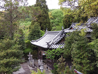 新緑の樹木に囲まれる奥の院
